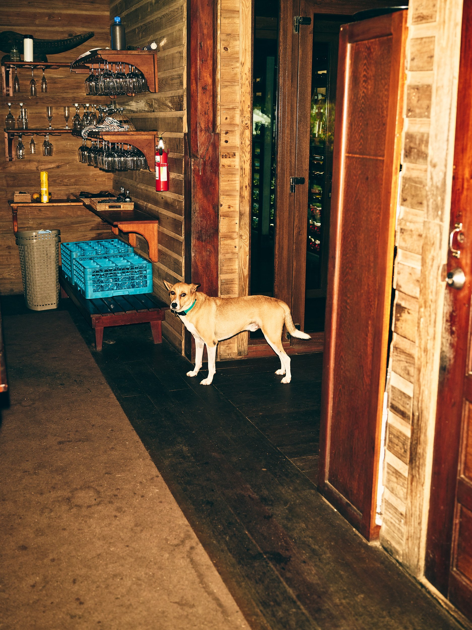 COPPOLA HIDEAWAYS | LALO by Geoffrey Knott