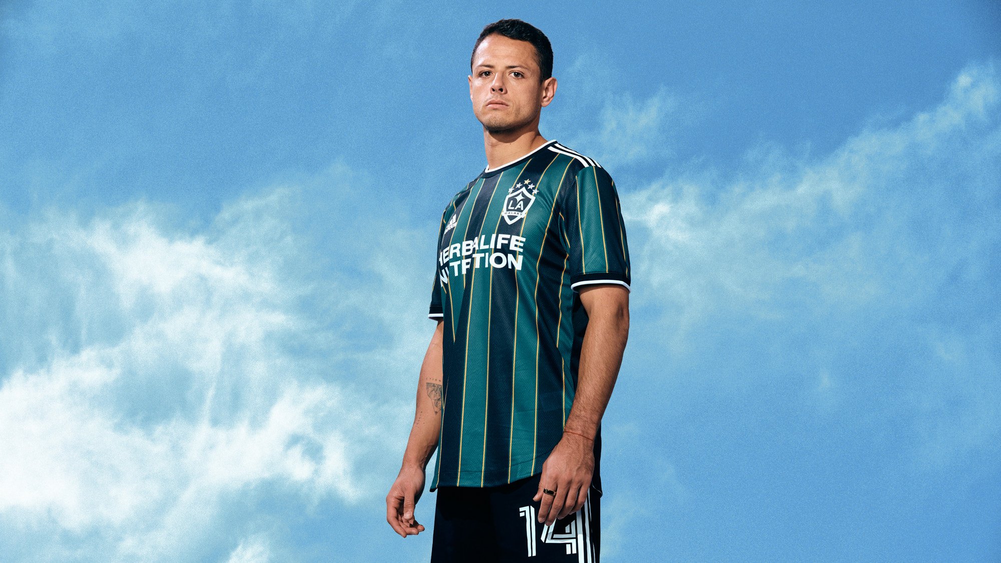L.A. GALAXY by Geoffrey Knott