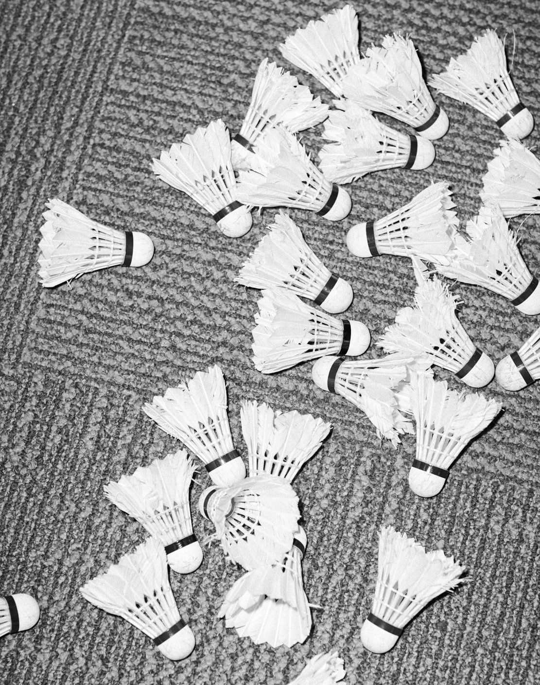 U.S. OPEN OF BADMINTON by Geoffrey Knott