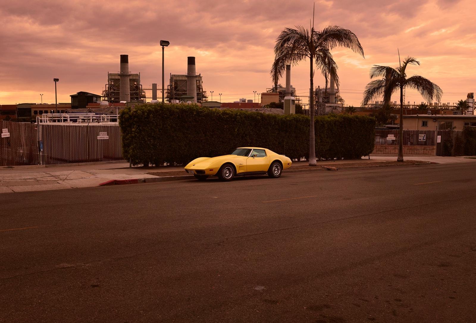 Concours by Geoffrey Knott