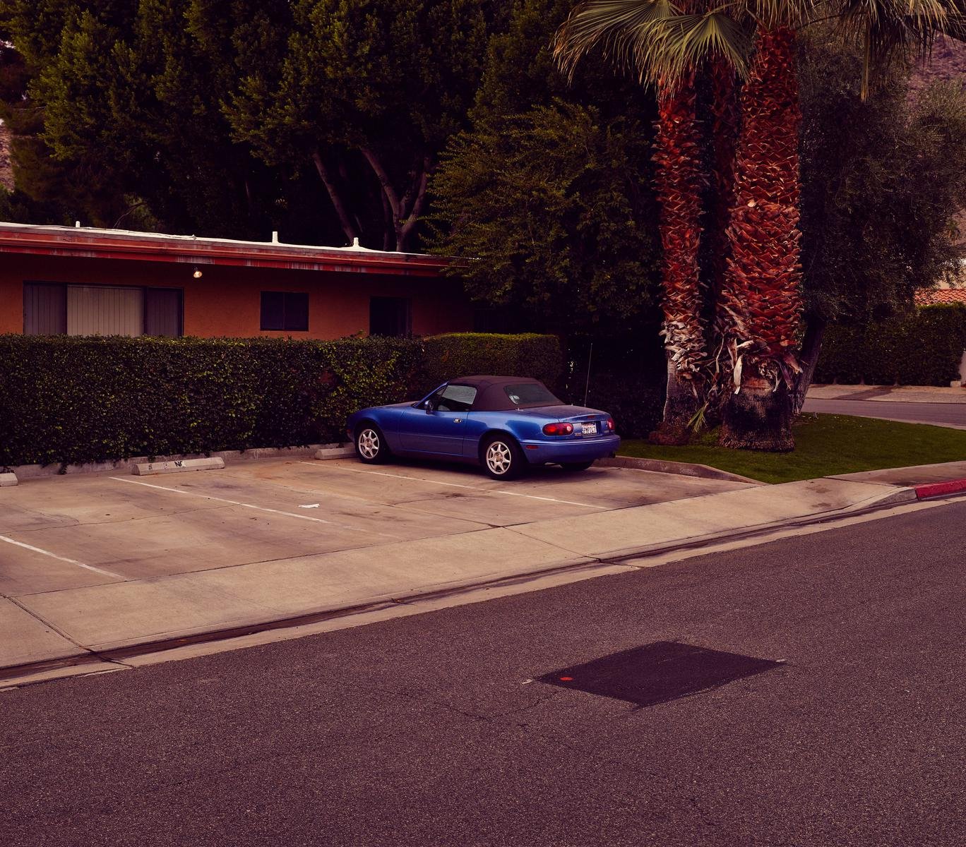 Concours by Geoffrey Knott