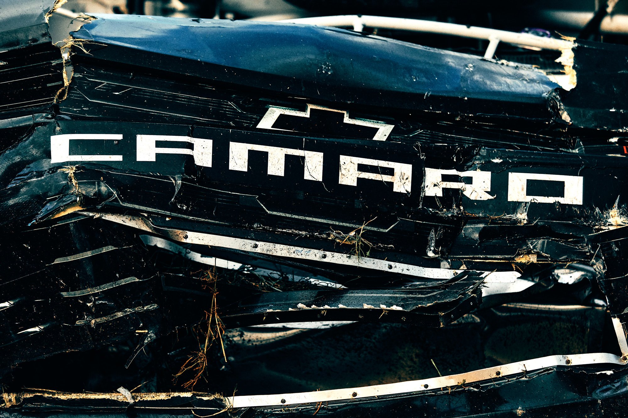 DAYTONA 500 by Geoffrey Knott