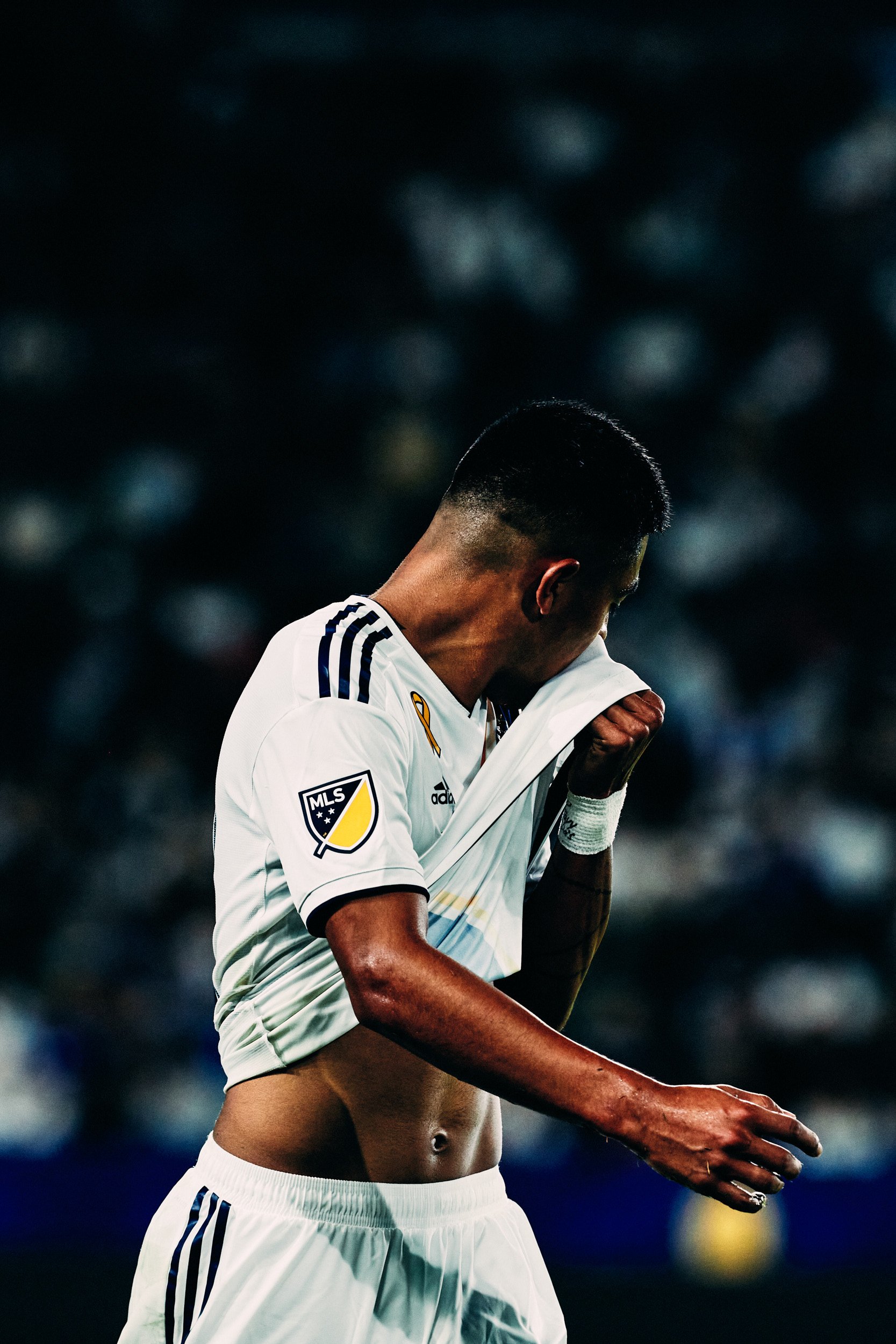 L.A. GALAXY by Geoffrey Knott