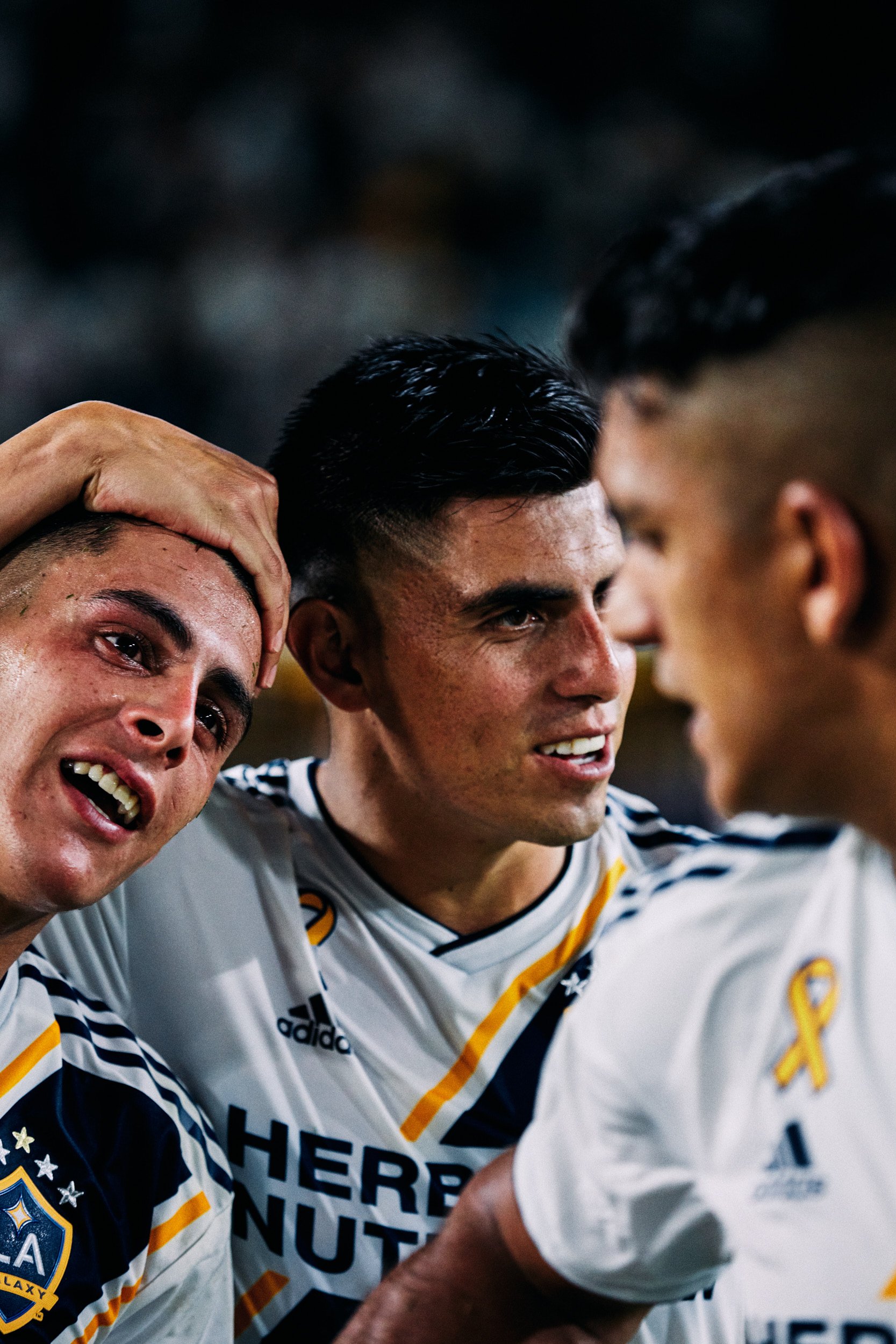 L.A. GALAXY by Geoffrey Knott