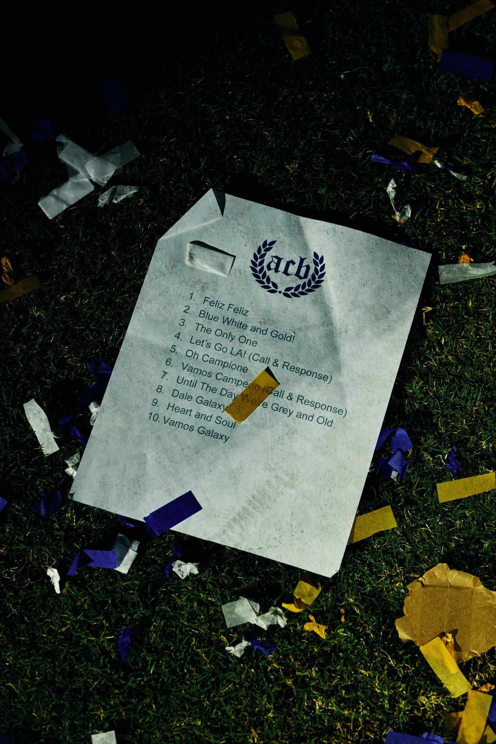 THE L.A. GALAXY by Geoffrey Knott