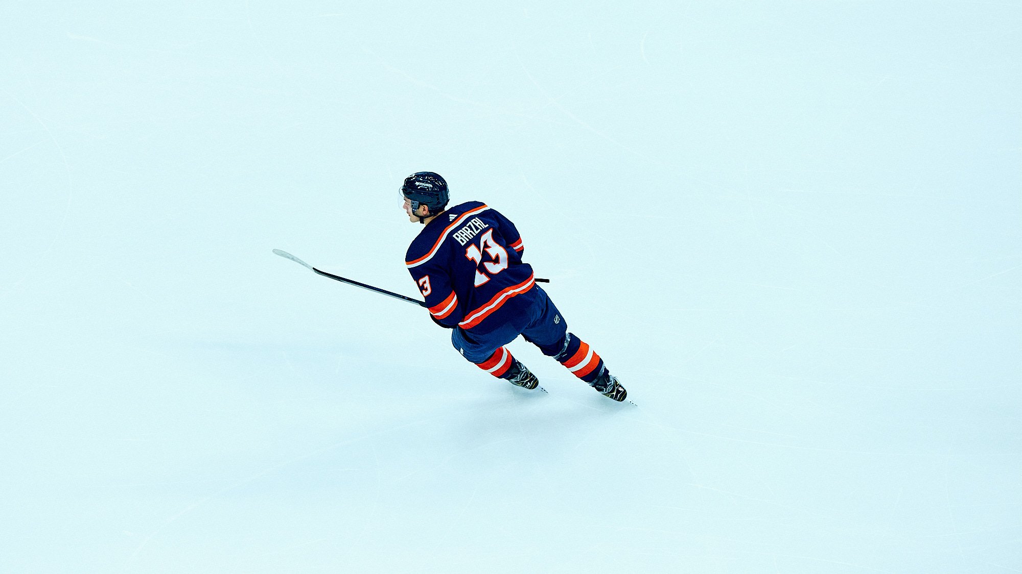 THE NEW YORK ISLANDERS by Geoffrey Knott