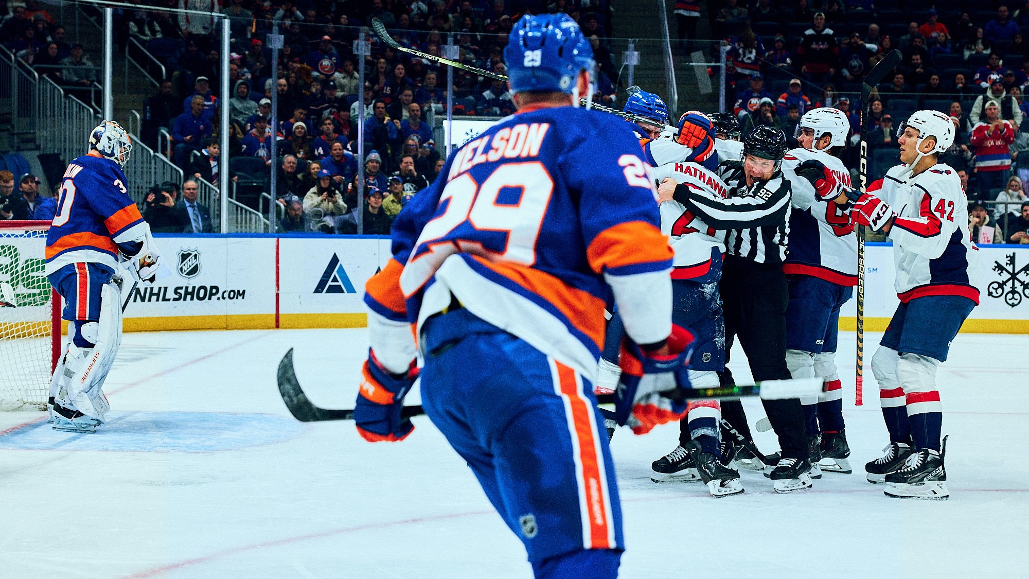 THE NEW YORK ISLANDERS by Geoffrey Knott