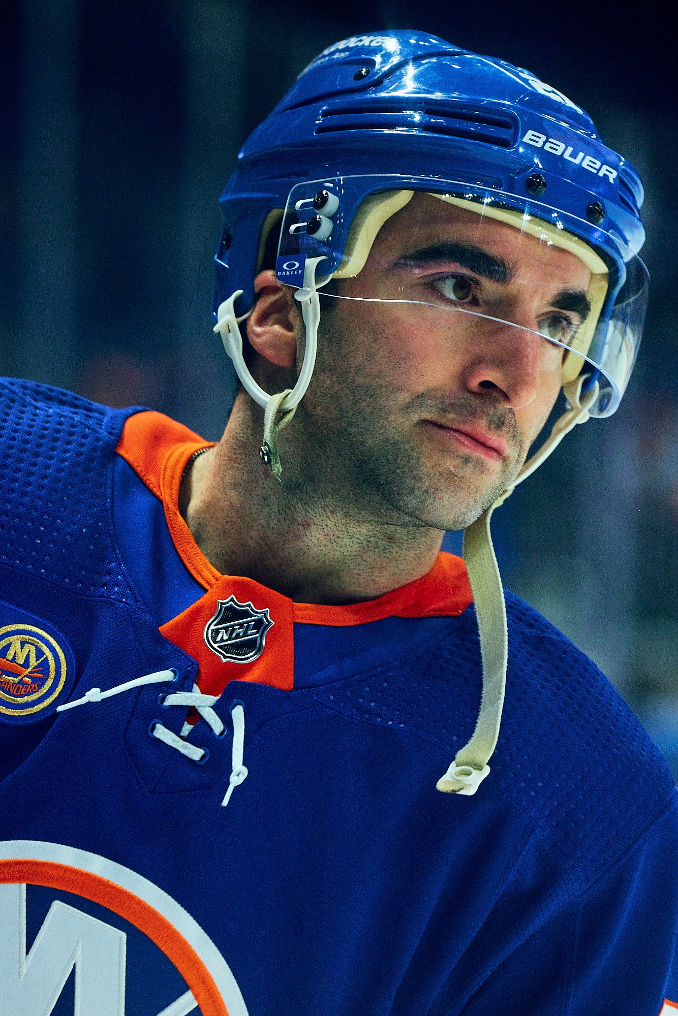 THE NEW YORK ISLANDERS by Geoffrey Knott