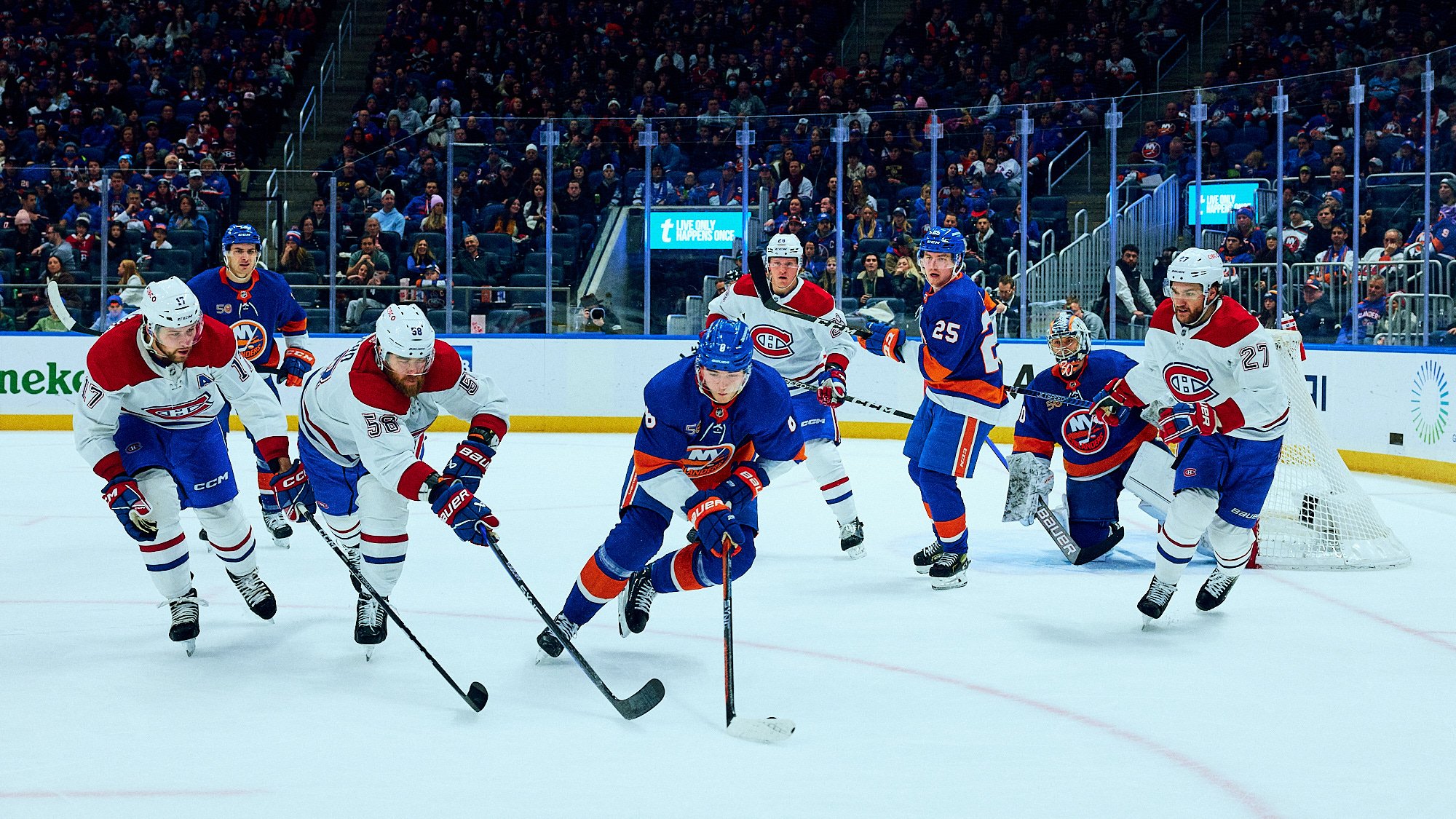 THE NEW YORK ISLANDERS by Geoffrey Knott