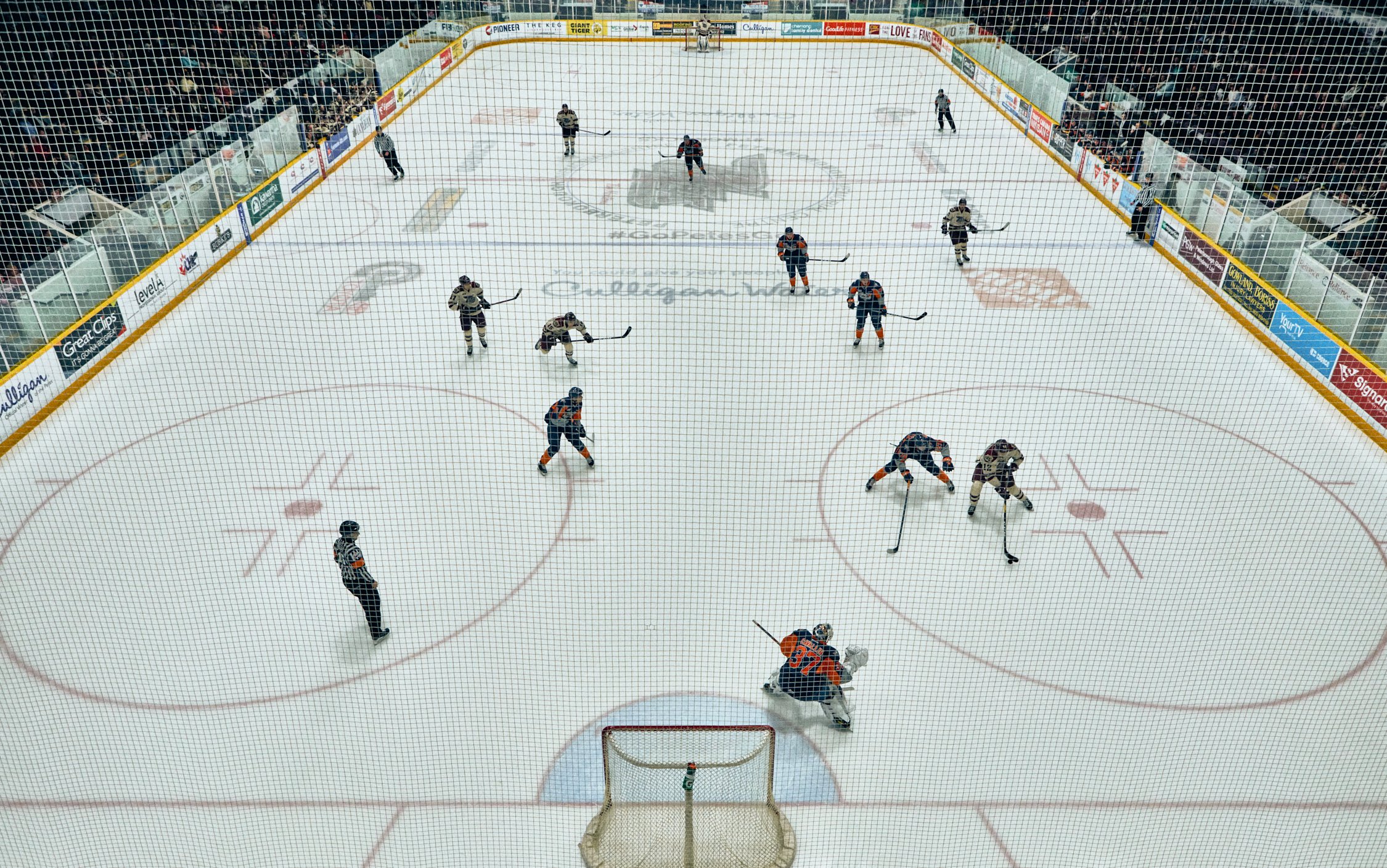 GOOD SPORT MAGAZINE | OHL by Geoffrey Knott