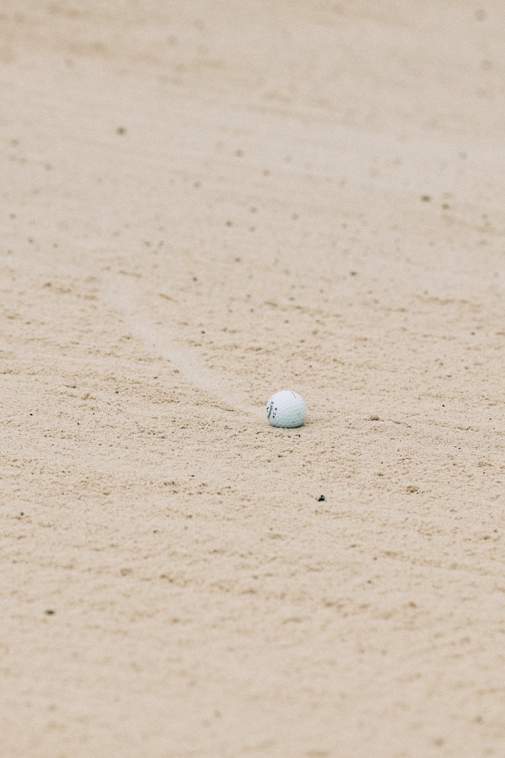 US OPEN by Geoffrey Knott