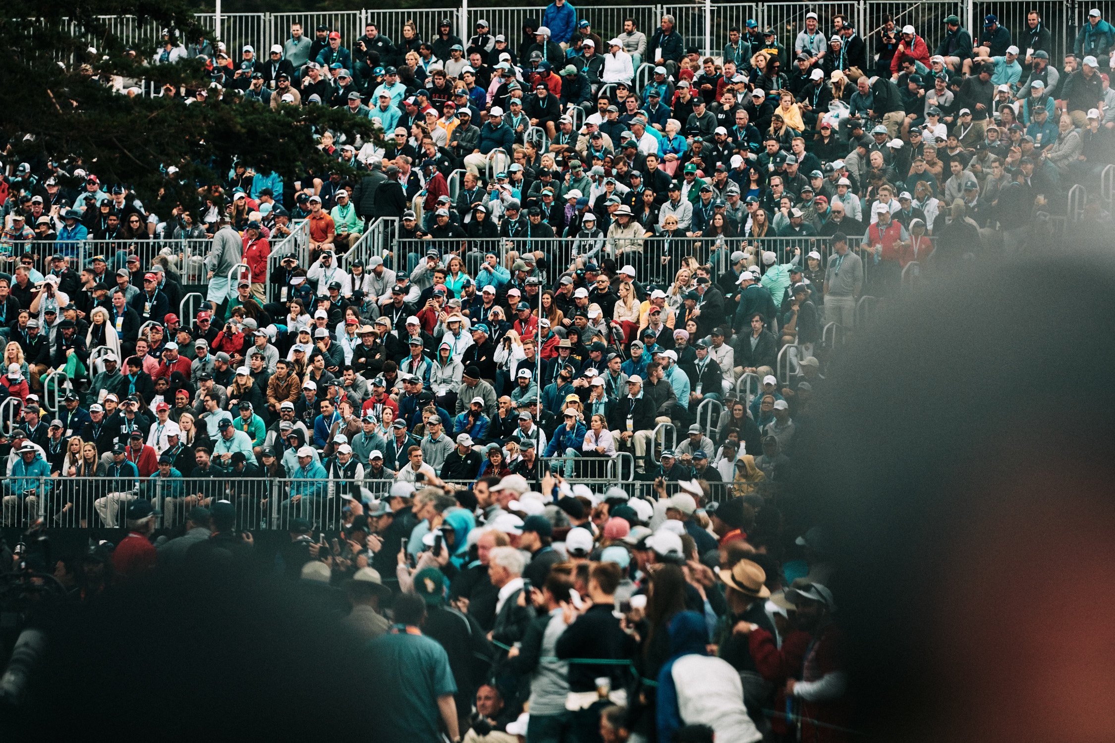 US OPEN by Geoffrey Knott